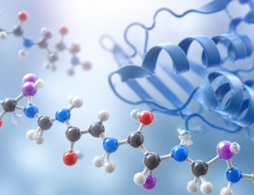 Amino Acid Sequences and Peptide Structure